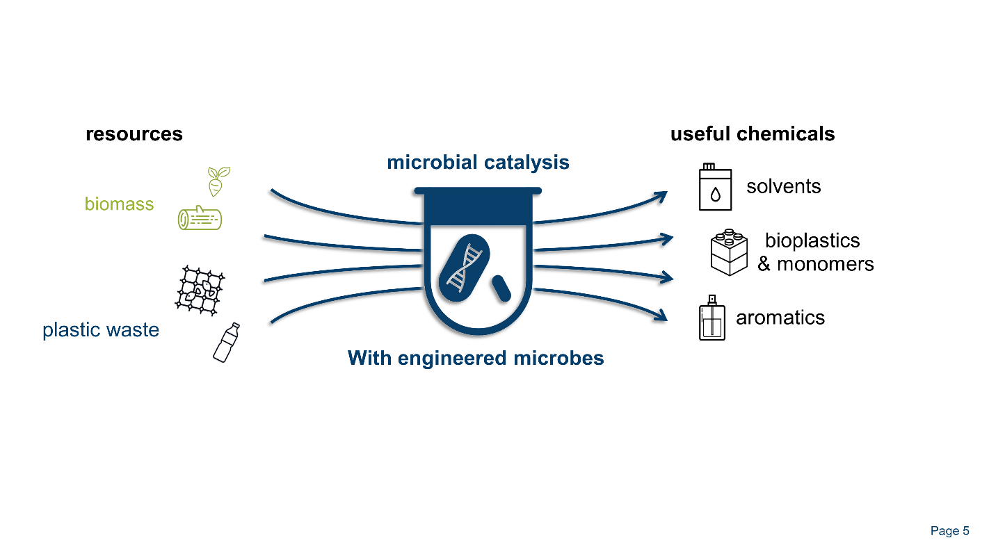 microbial catalysis graphic